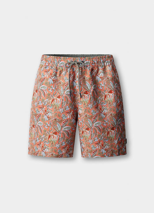 APRICOT-ORANGE